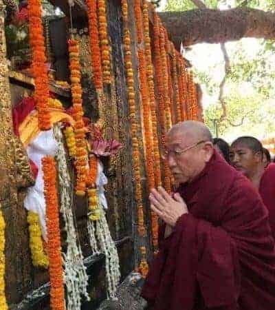 Gosok Rinpoche India 2017 7e5e4c678255fd36c773ed5273980bf