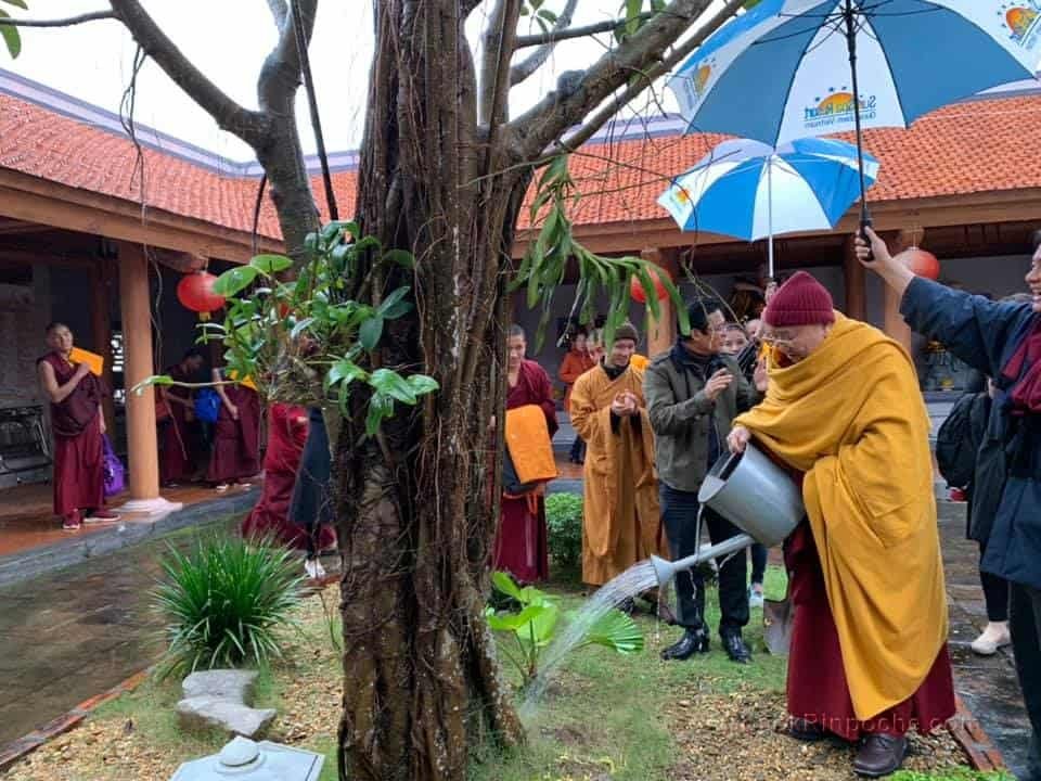 Gosok Rinpoche - Vietnam 20190118030552498