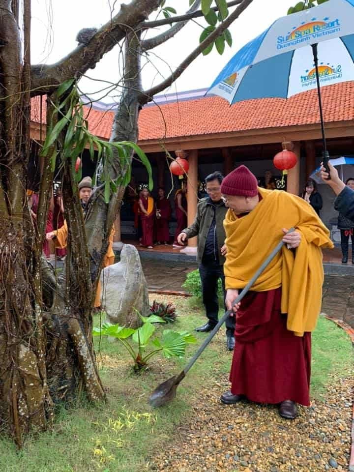 Gosok Rinpoche - Vietnam 20190118030604774